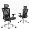 Ergonomic Office Chair